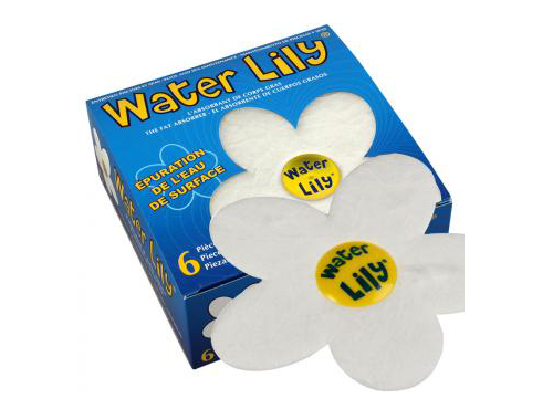 Water Lily "Reinigungsblume"